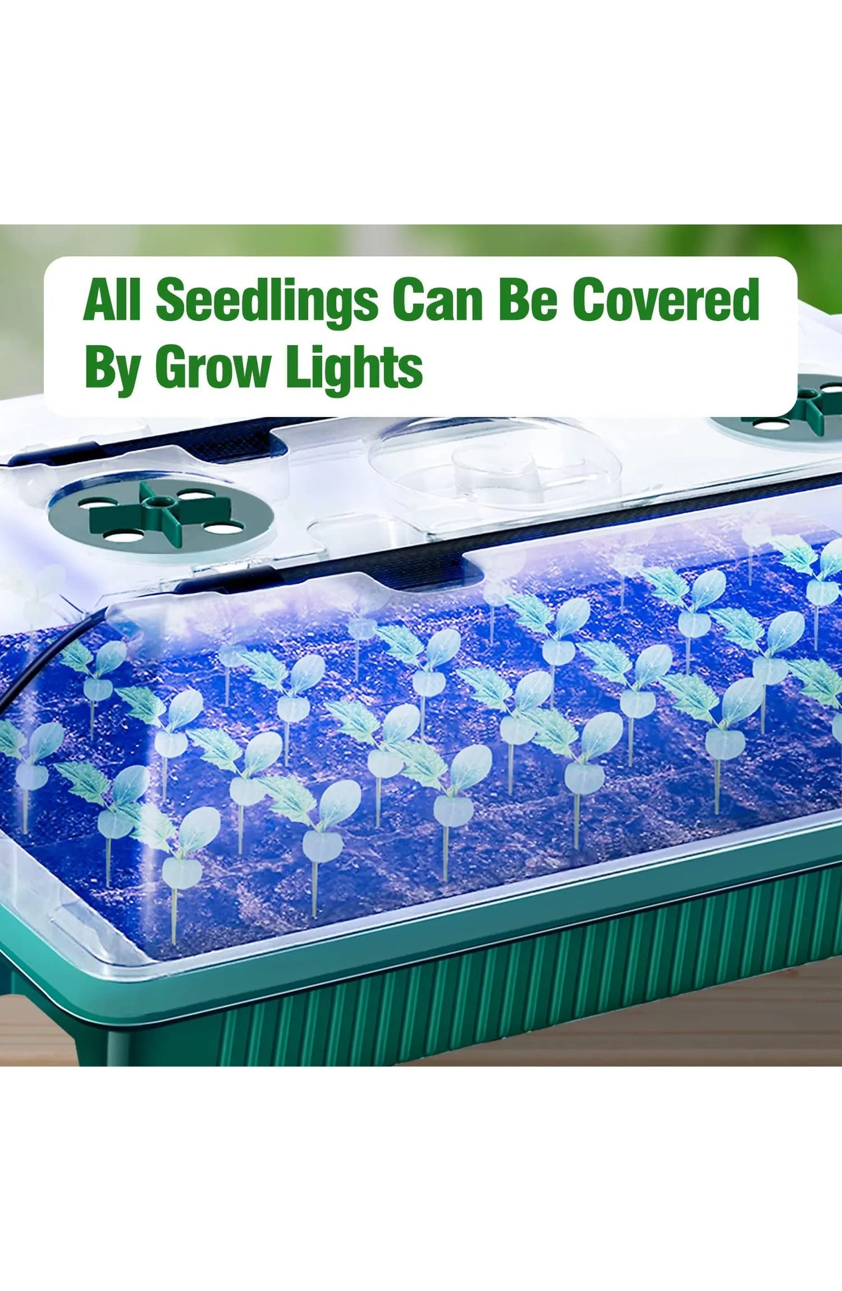 High Dome Seed Starter Trays with LED Grow Lights - 80 Cells